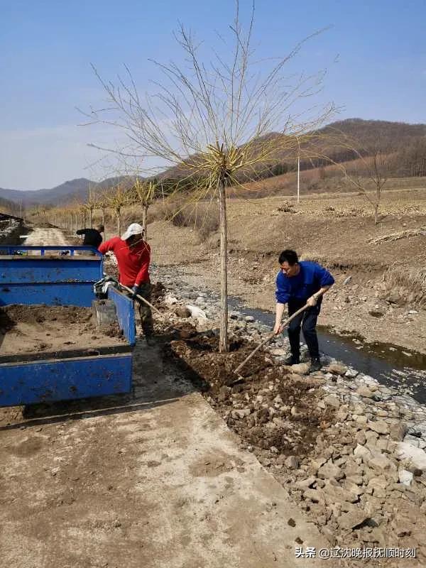 抚顺新宾红庙子,抚顺新宾红庙子四道沟村