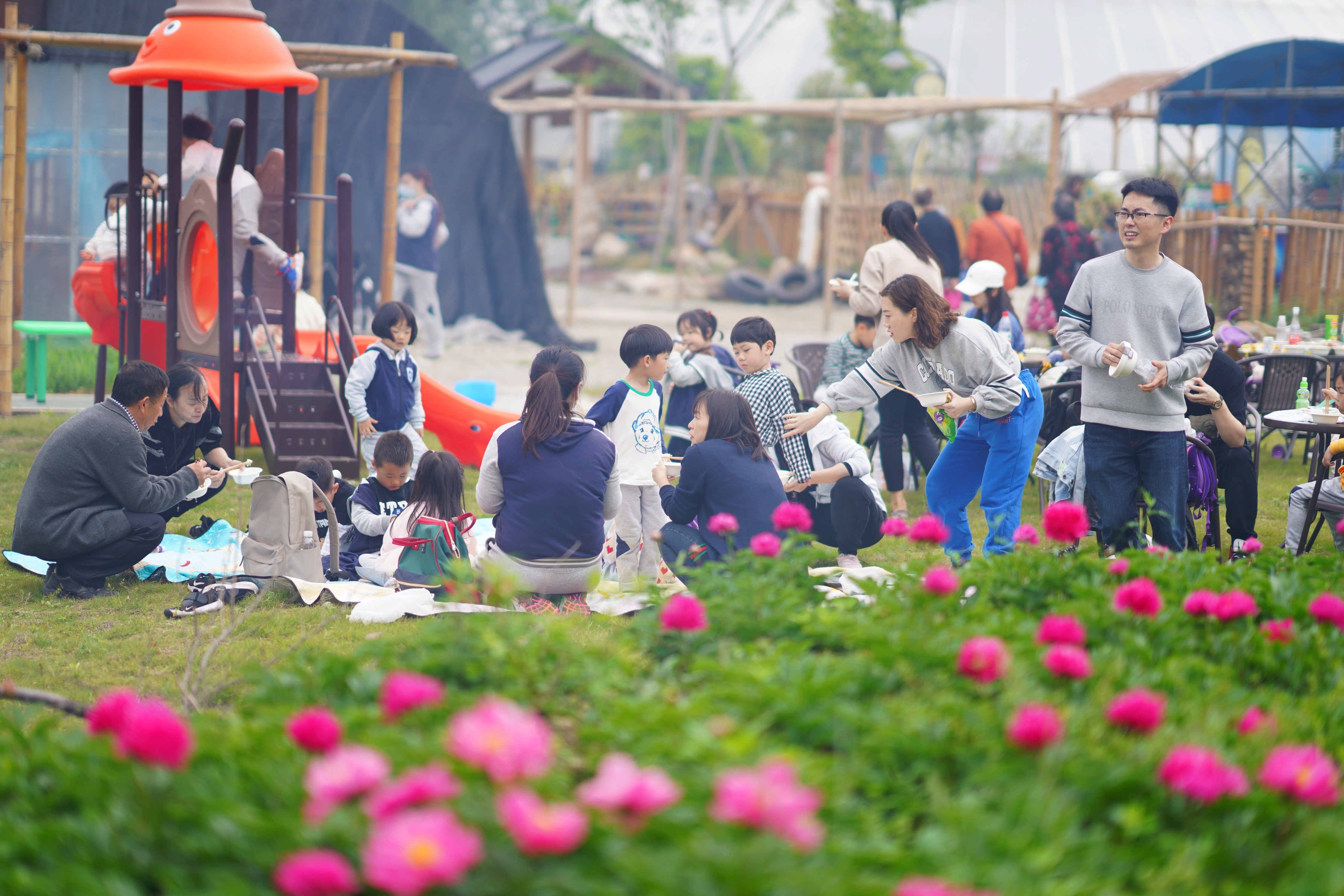 送你一份不走寻常路的苏州攻略，田园风民宿+文艺小清新打卡地