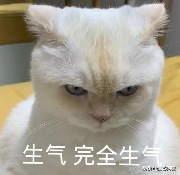 江苏南京代购衣服,代购买的包一直没收到货怎么办