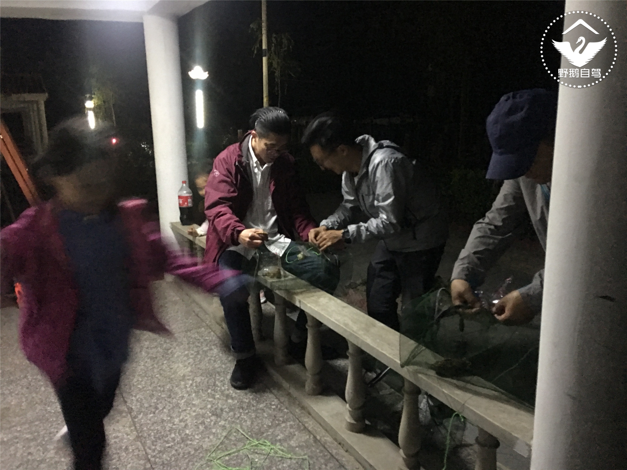 周末带娃自驾白洋淀，下地笼、抓小虾，亲密接触鱼鹰