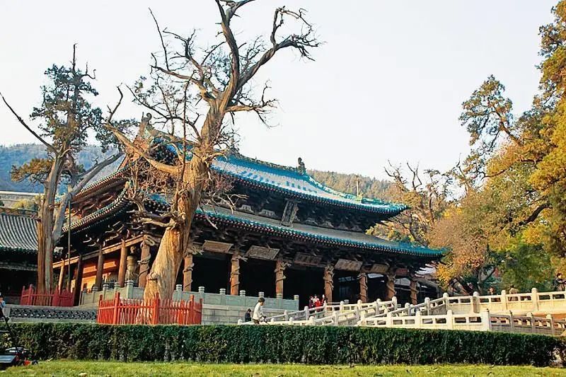 北京艺术设计专业大学,北大美术设计专业