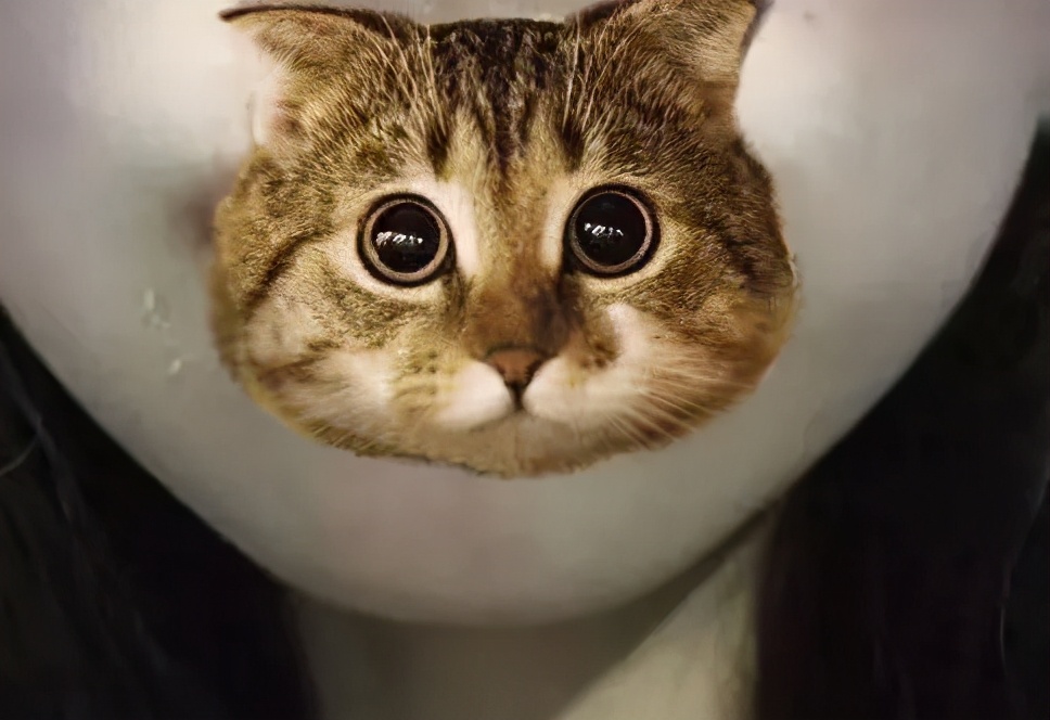 这10件好物实用到我舍不得分享,最能治愈好心情的东西