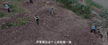 从8.8到9.2，30分钟反转3次，年度最佳国剧终于出现