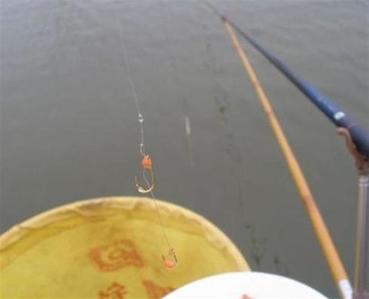 黑坑钓鲤鲫用什么饵比较合适,春季黑坑钓鲤用什么添加剂