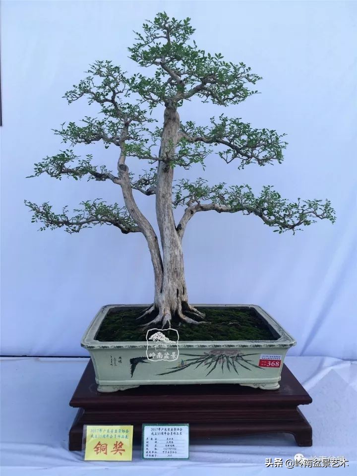 骞哥涔呬箙鐢滅敎铚滆湝,骞哥涔呬箙