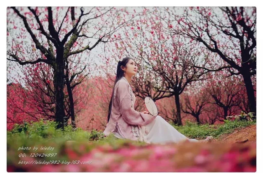 繁花似锦樱花美景,繁花似锦的花海