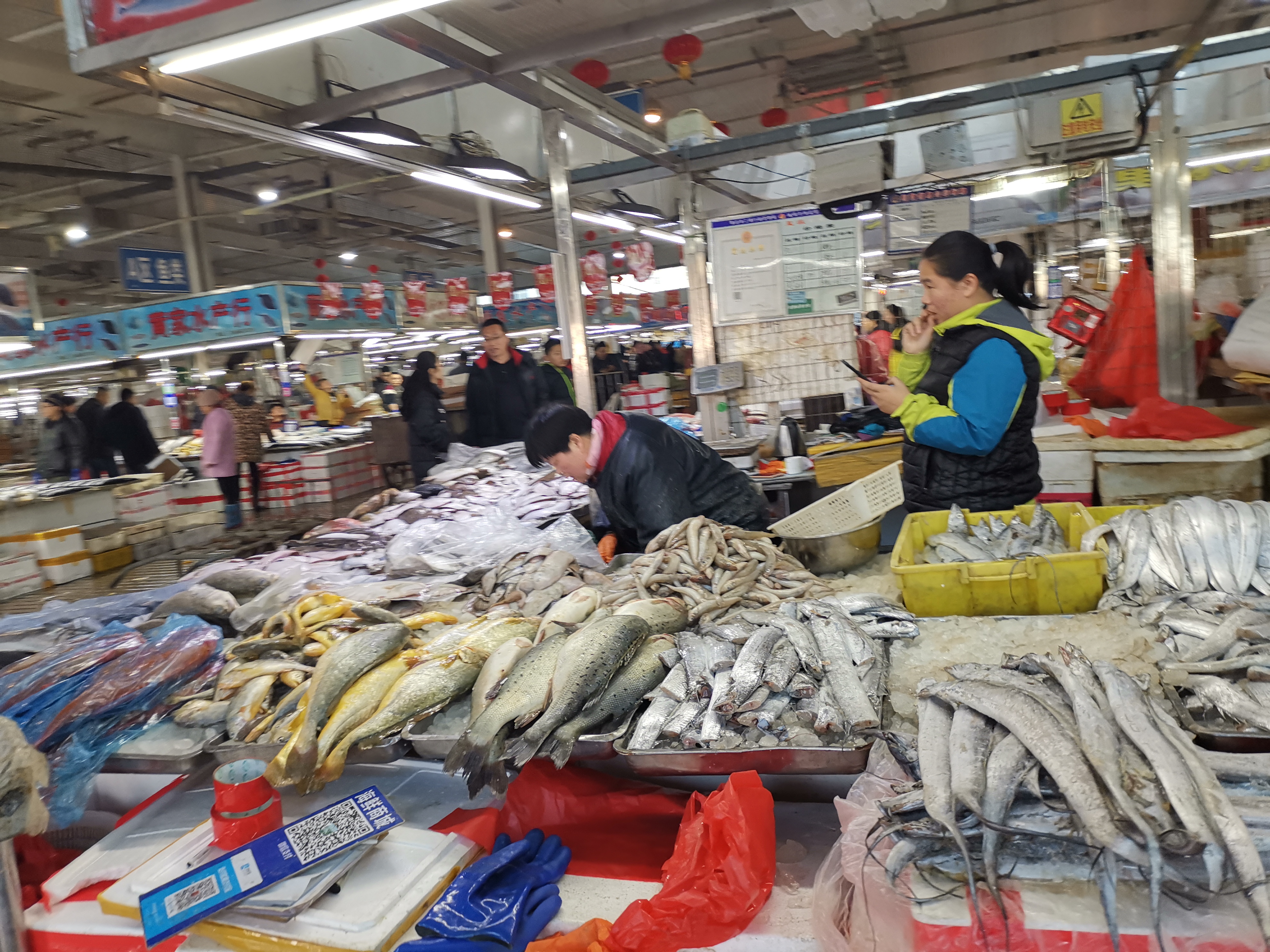 最新青岛海鲜批发市场价格,青岛最大的海鲜批发市场是哪一个