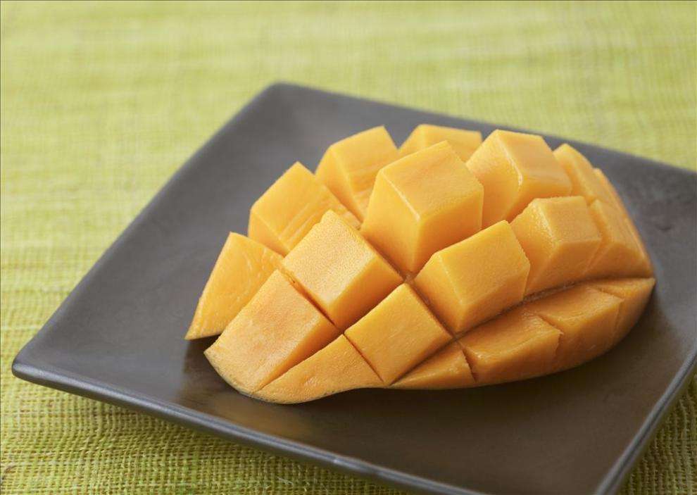 弟弟拿着“芒果核”玩，20天长出小绿苗，移到花盆能结果