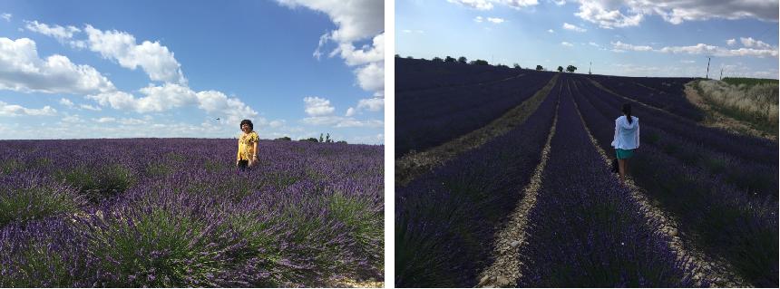 欧游散记原文,欧游散记无注释版
