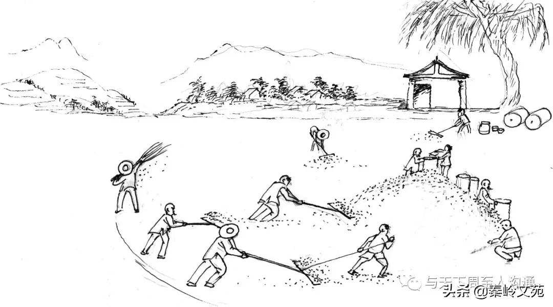 赵科第:乡村记事——收麦那些事儿