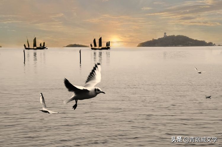 摄影图片大小要求,照相图片设置多大合适