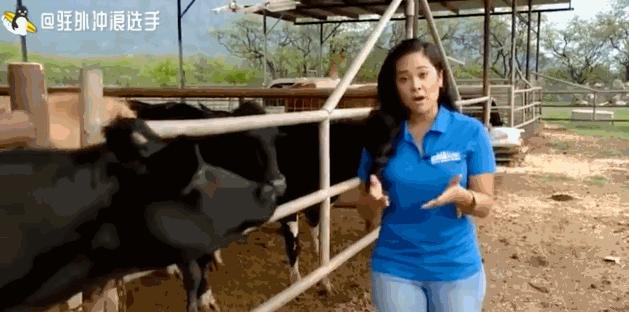 东方台主持人集体翻车现场视频,主持人电视直播新闻翻车名场面