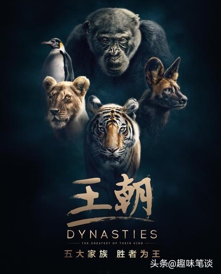 10部适合孩子看的高分自然纪录片,高分自然纪录片推荐9分以上