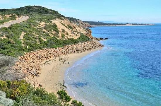 青蟹大批入侵澳洲,红蟹泛滥澳大利亚人怎么处理