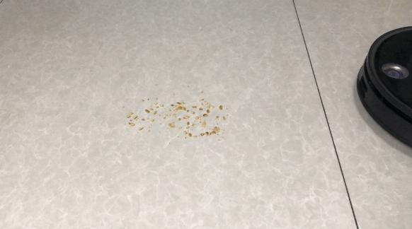 2岁宝宝扫地机器人,5000元内扫地机器人测评排行