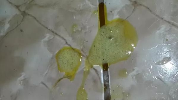 猫咪吐白色粘液和泡沫吃什么药,猫咪拉稀呕吐白色泡沫