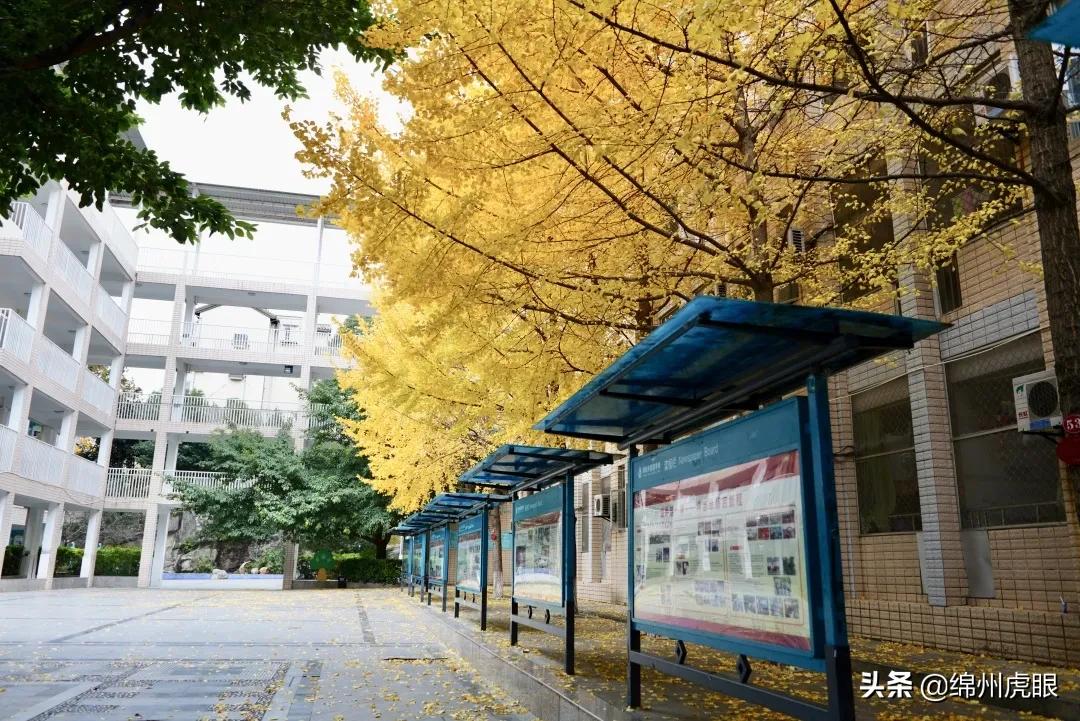 绵外20年校庆,20年前的今天