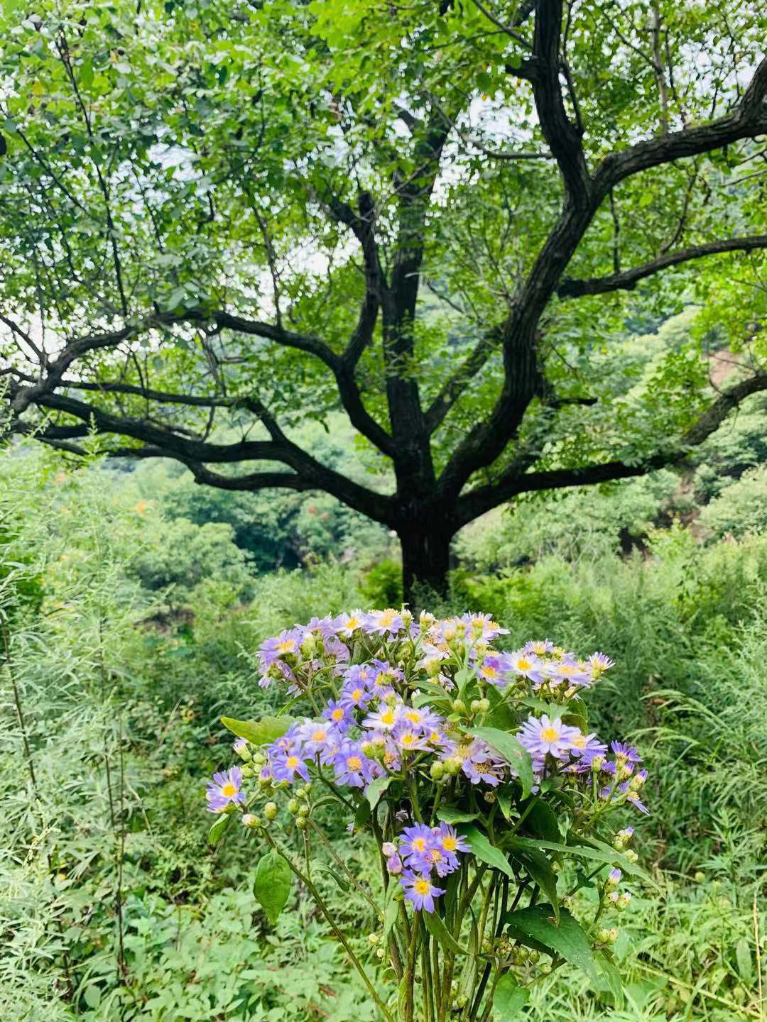 户外领队介绍路线,户外领队采访