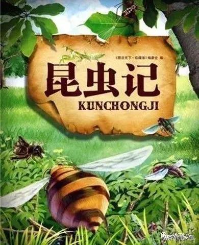 名著导读昆虫记,名著导读昆虫记全集