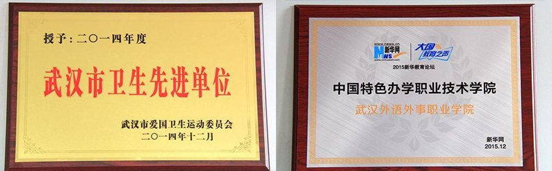 武汉外语外事职业学院新生指南,武汉外语外事职业学院官网是什么