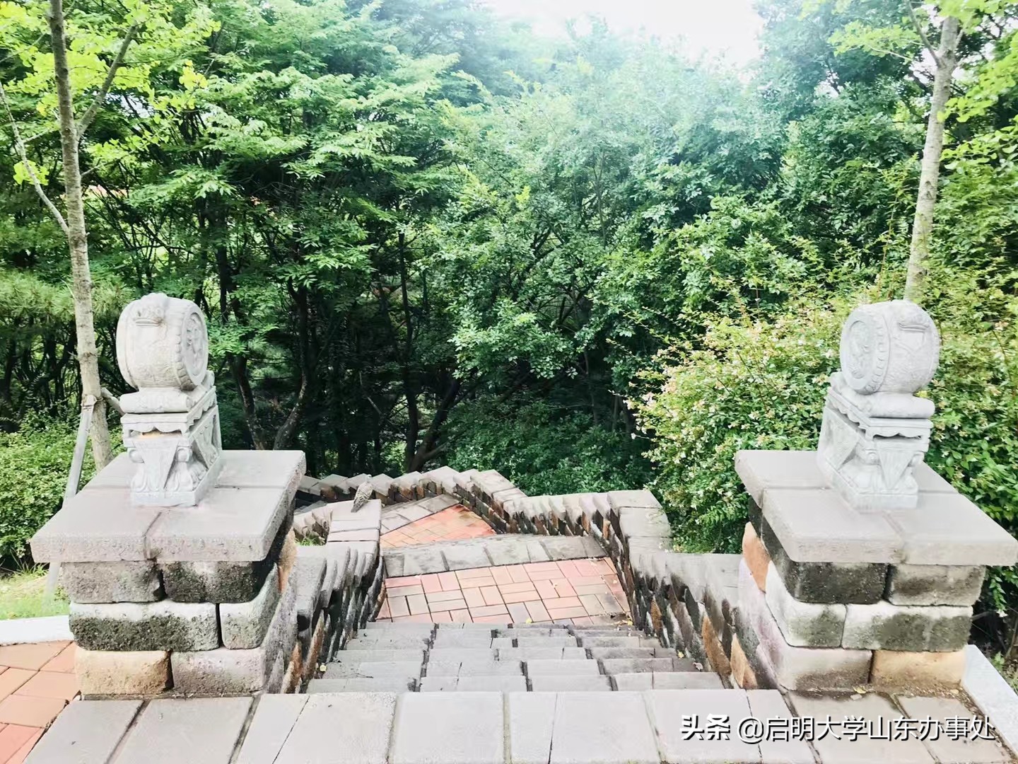 韩国启明大学语学院,韩国启明大学专业