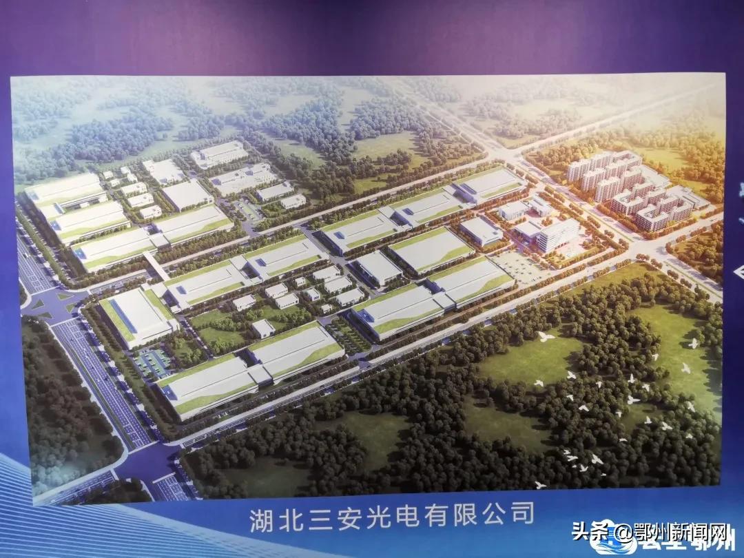 鄂州市乡村振兴拉练新闻视频,鄂州市项目拉练