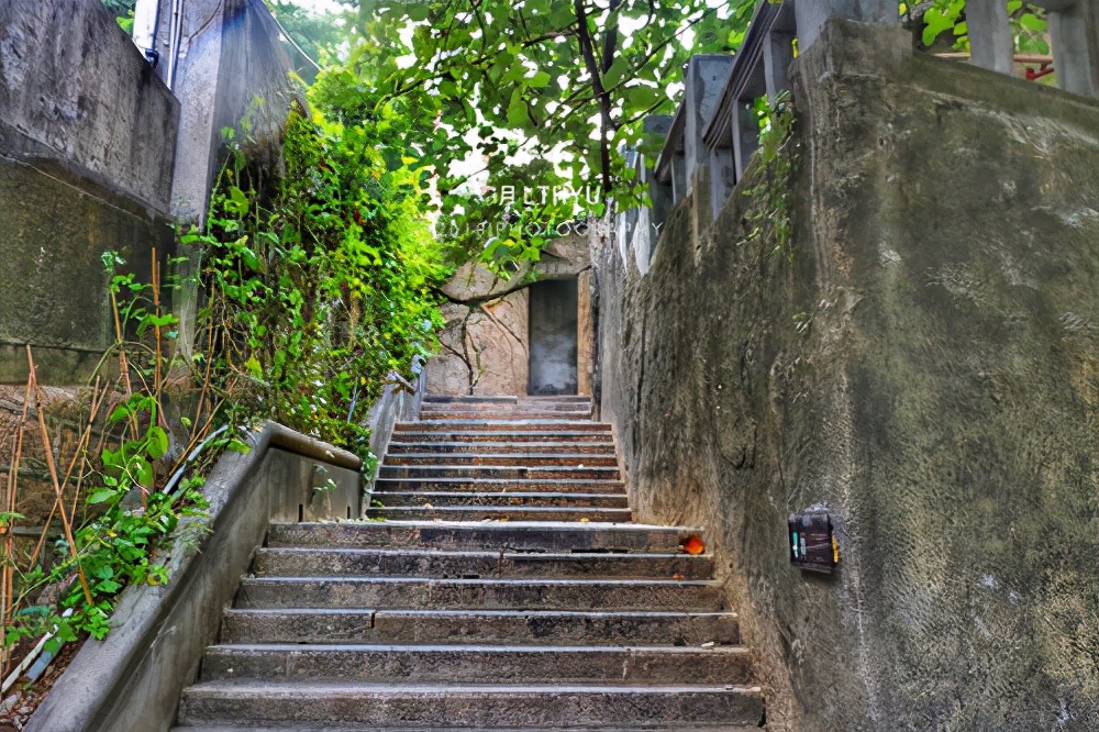 厦门旅游攻略免费,厦门旅游哪里好玩又免费攻略