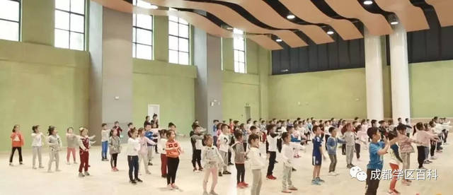 成都高新大源学校初中排名,高新区大源片区学校排名