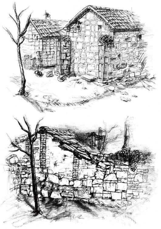 速写风景初学者入门教程,速写风景初学者入门教程植物