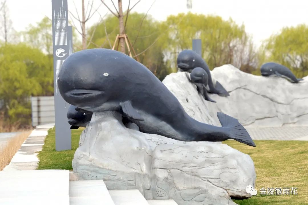 南京小众景点,南京小众花园秘境