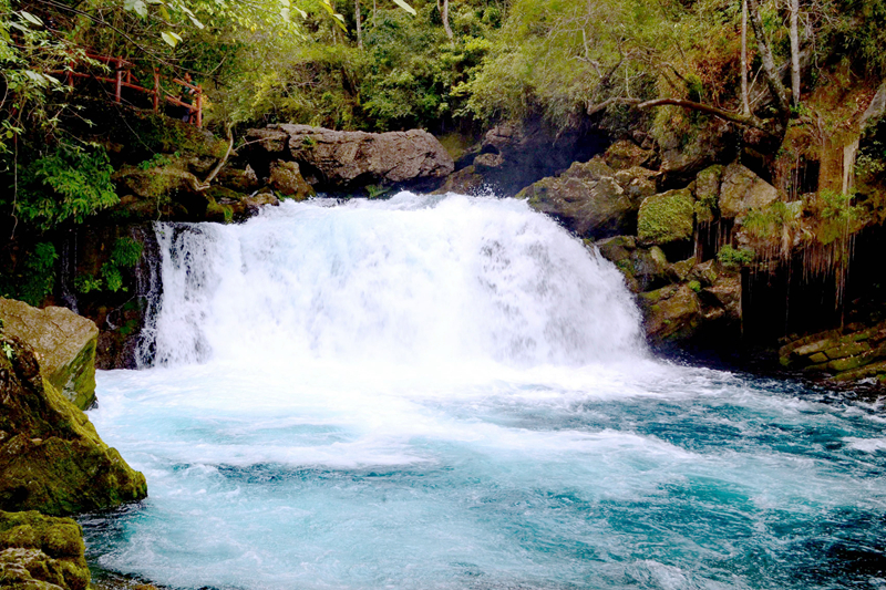 贝爷荔波荒野求生照片,跟着贝尔去旅行荔波