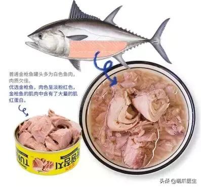 猫咪天天跑去喂鱼,猫咪不吃东西喝汤能喝饱吗