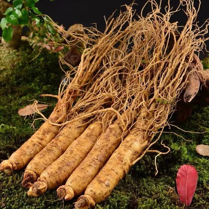 长白山鲜人参煲鸡,长白山精品袋装鲜人参炖鸡