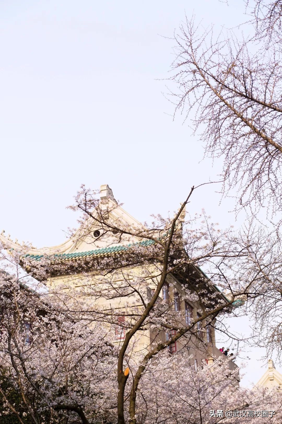 路痴收藏！16个最易混淆的武汉地名，走错也能浪到飞起！