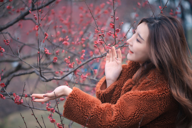 梅花十大经典诗句,梅花诗10首是谁写的