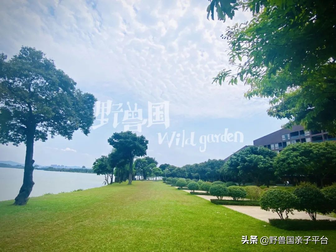 松山湖风景区松湖烟雨是哪个门,松山湖景区松湖烟雨有哪些好玩的