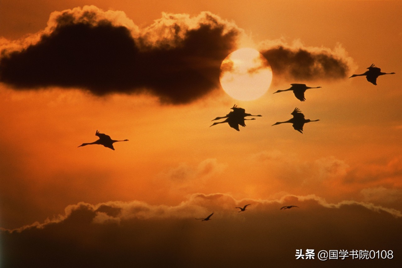 读咏史怀古之诗叹世事沧桑易变,50首绝美古诗词怀古