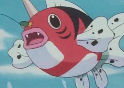 宝可梦珍珠钻石一周目火系精灵,宝可梦中426隐藏属性