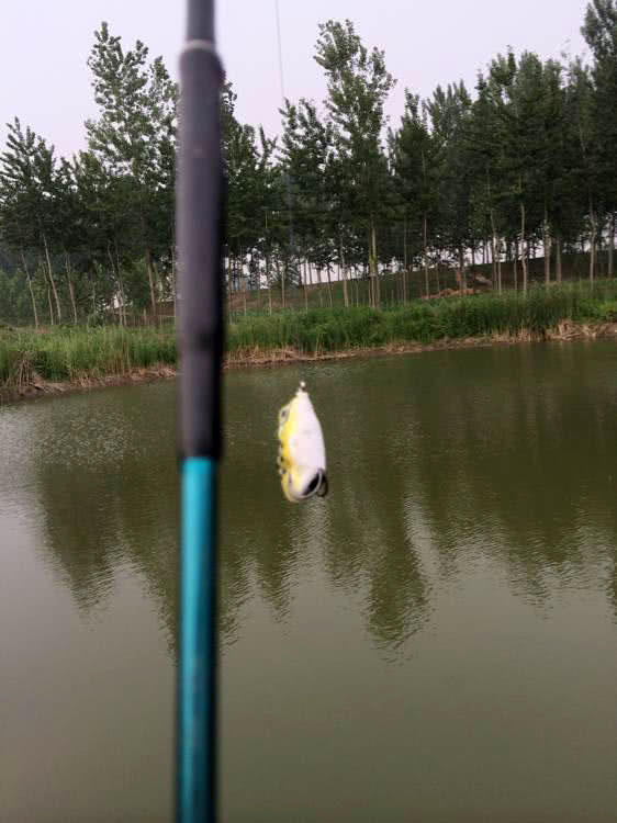 路亚打黑怎么找黑鱼,路亚钓法打黑