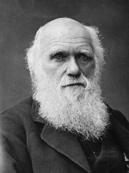 著名的达尔文,地质学家达尔文