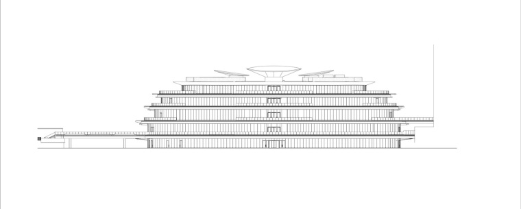 澳大利亚看台倒塌事件,澳大利亚球迷看台