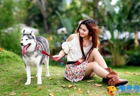 狗的寓言故事,有关狗的寓言故事