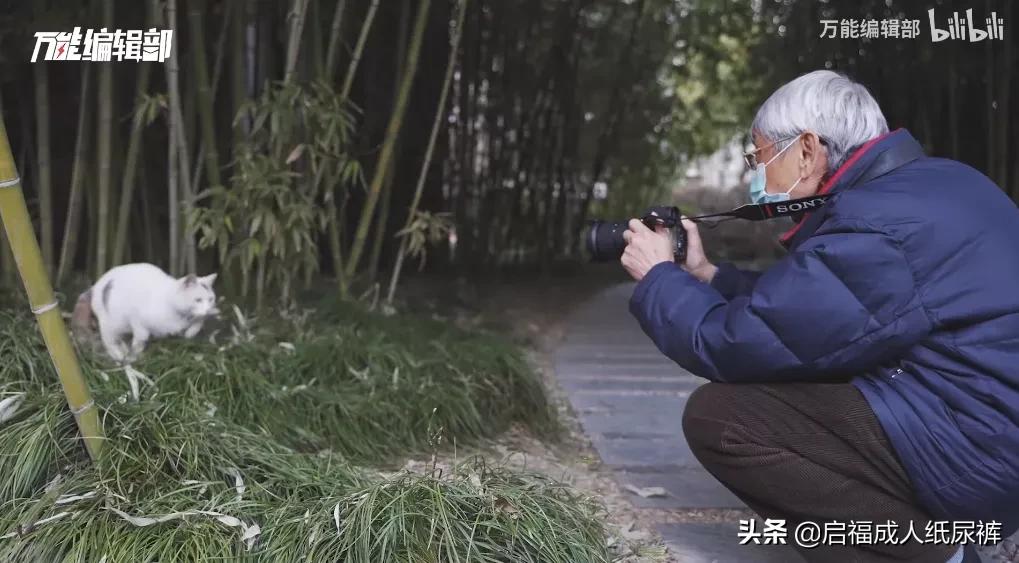 成人纸尿裤的坑,成人纸尿裤太薄了