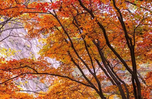 河南省平顶山市尧山风景区,平顶山尧山和洛阳老君山