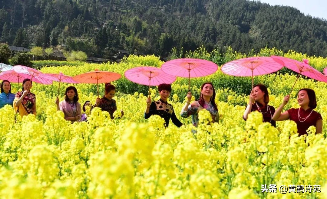 上联：百年存贮美，下联？「黄鹤诗苑」“旗袍”九青律诗同题48首