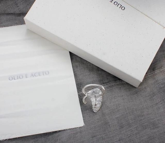 首饰施华洛世奇天鹅项链 (施华洛世奇天鹅项链选哪款)