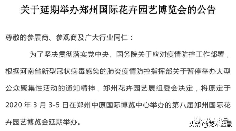 疫情对花艺行业有什么影响,疫情期间盆景怎么处理最好