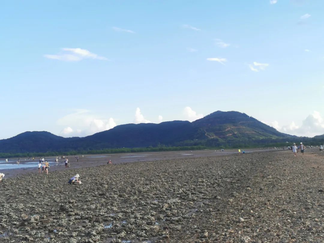 海陵岛吃住行玩,海陵岛旅游攻略美食