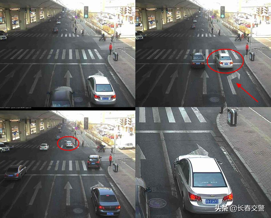 违法曝光台,违法曝光台第96期