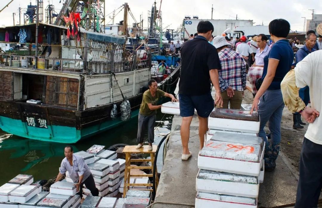 浣犲涔呮病鍘绘捣杈瑰害鍋囦簡,浣犲涔呮病鏈夊嚭闂ㄦ梾娓镐簡